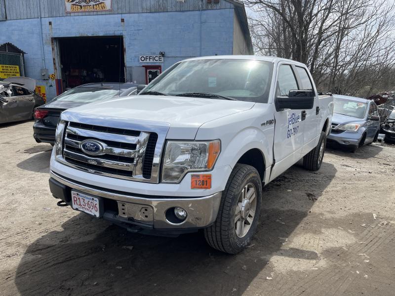 FORD TRUCKS F150 PICKUP 09 (halogen), L. Headlamp Assembly Jack's